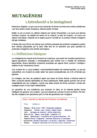 MUTAGENESI-1r-parcial.pdf