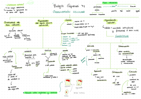 Biology-Esquemas-2022-11-21-080527.pdf