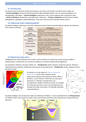 factores-de-formaciontema-9.pdf