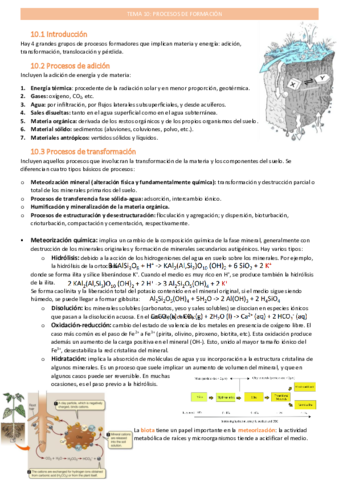 procesos-de-formaciontema-10.pdf