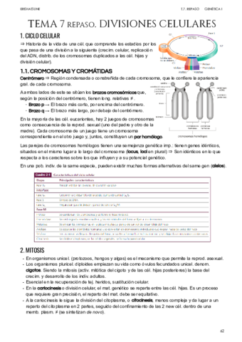 Tema-7-Repaso-Divisiones-celulares.pdf