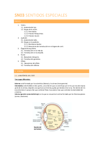 FISIOLOGIA-SN03.pdf
