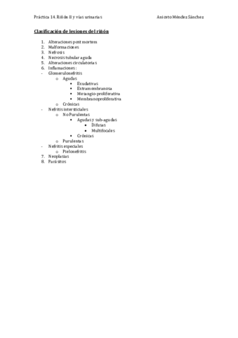 Práctica 14. Riñón II y vías urinarias COMPLETA.pdf