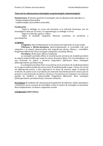 Práctica 15. Sistema nervioso central (Descripción y foto 1- 3, 8-16, 19 y 21).pdf