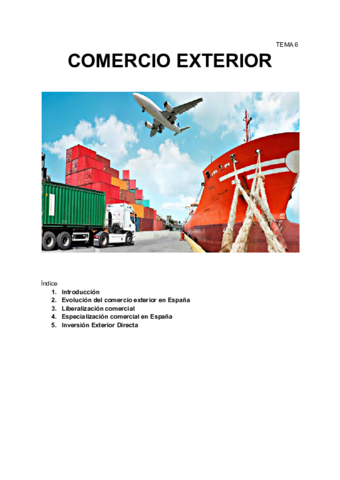 TEMA-6-COMERCIO-EXTERIOR.pdf