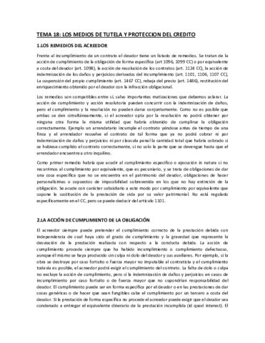 TEMA-18.pdf