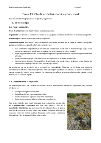 Tema-13.pdf