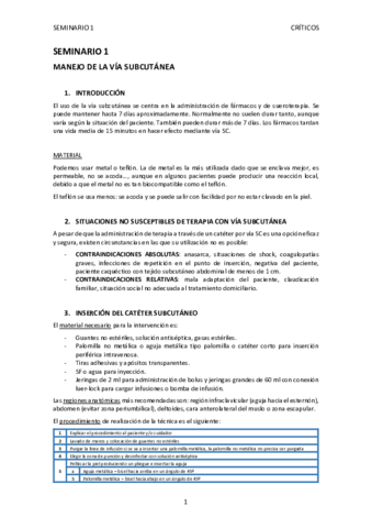 SEMINARIO-1-GUIA.pdf