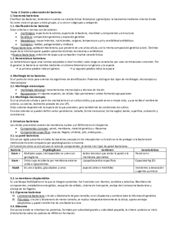 Tema-2-tincion-y-observacion-bctrs.pdf
