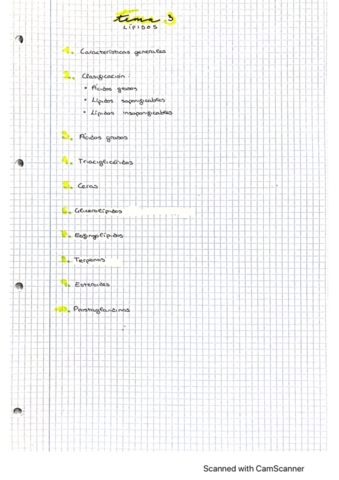 tema-3-lipidos-.pdf