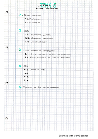 tema-5-acidos-nucleicos.pdf