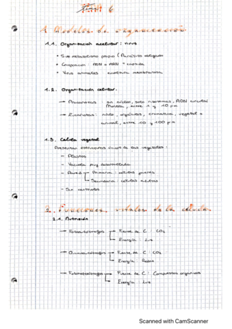 tema-6-la-celula.pdf