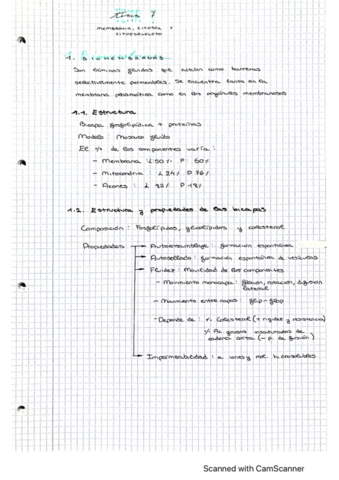 tema-7-membrana-citosol-y-citoesqueleto.pdf