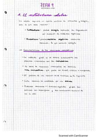tema-9-metabolismo-.pdf