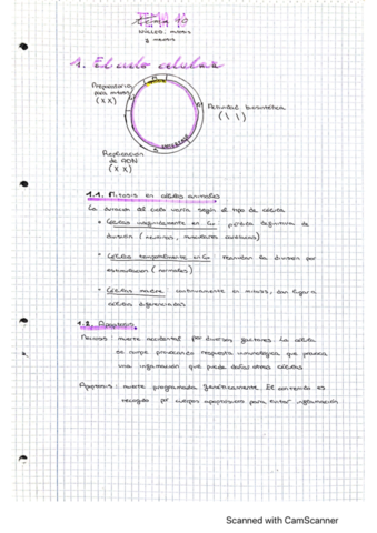 tema-10-nucleo-mitosis-y-meiosis.pdf