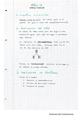 genética molecular y replicacion
