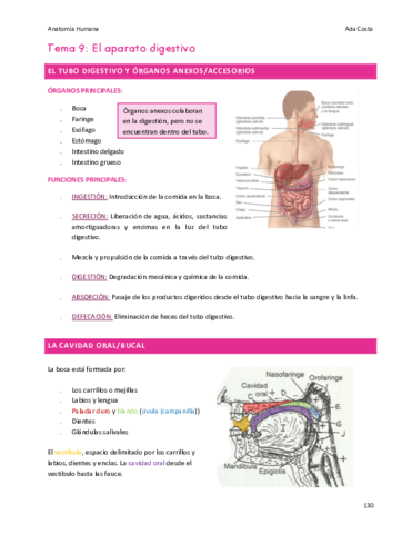 Tema-9-digestivo.pdf