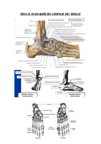Tema-11-valoracion.pdf