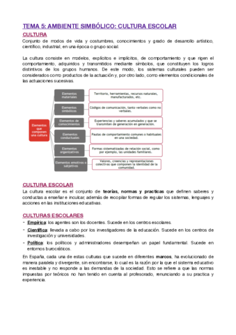 T5-CULTURA-ESCOLAR.pdf