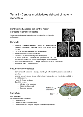 Fundamentos-biologivos-de-la-conducta-Tema-9.pdf