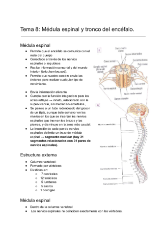 Fundamentos-biologivos-de-la-conducta-Tema-8.pdf