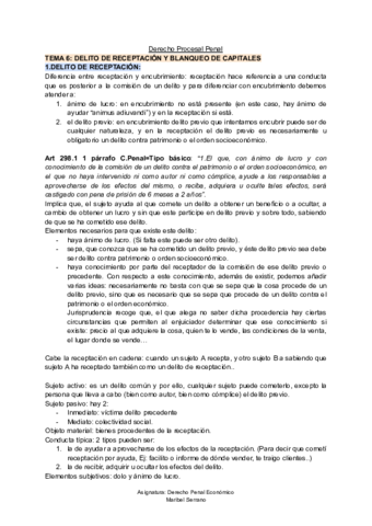 TEMA-6--D-Penal-Economico.pdf