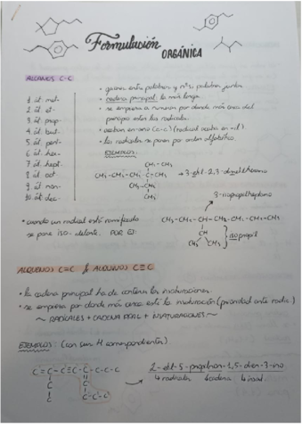 Formulacion-organica.pdf