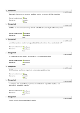 autoevaluacion 6.pdf