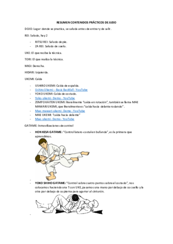Resumen-Judo.pdf