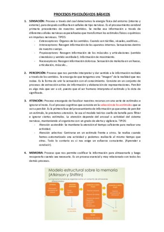 PROCESOS-PSICOLOGICOS-BASICOS.pdf