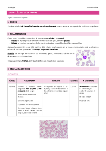 TEMA-6-Celulas-de-la-sangre.pdf