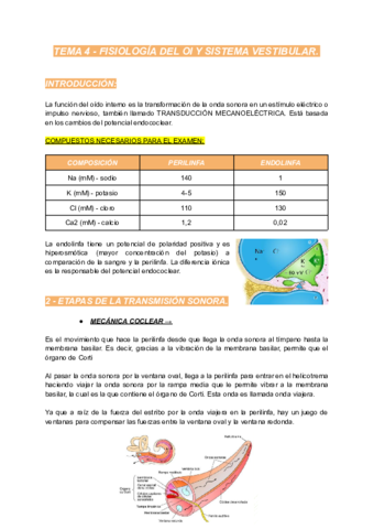 TEMA-4-CAUUS.pdf