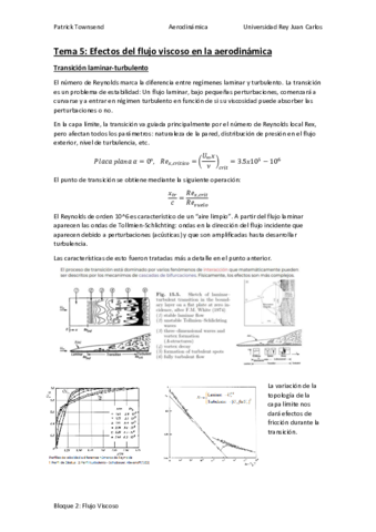 ViscosoT5.pdf
