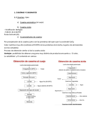 CASEINAS-Y-CASEINATOS.pdf