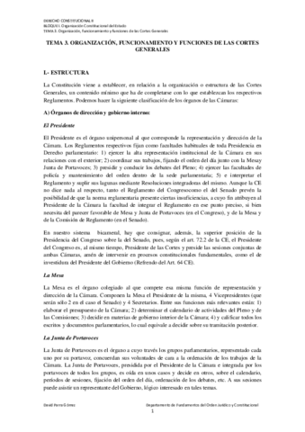 tema-3-consti-2.pdf
