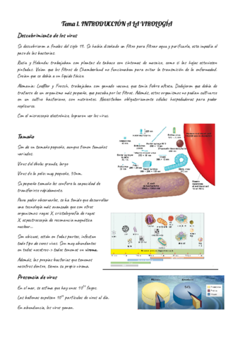 Apuntes-virologia-Temas-1-7.pdf