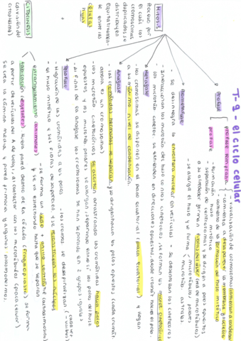 esuqema-t-9-ciclo-celular.pdf
