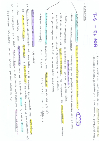 t-5-ARN-Y-ADN-esquema-.pdf