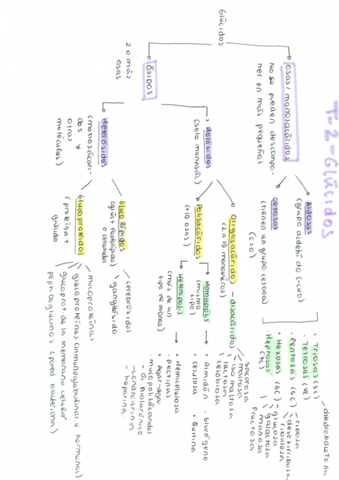 esquema-T-2-glucidos.pdf