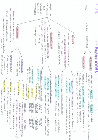 esqeuma-t-14-mutaciones.pdf