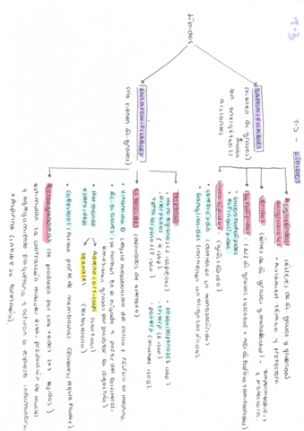 esuqema-T-3-lipidos.pdf