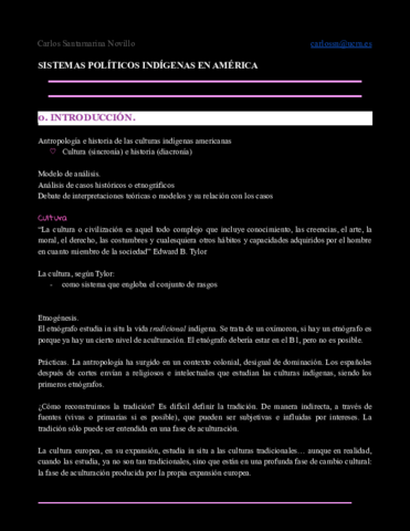 Sistemas-politicos-indigenas.pdf