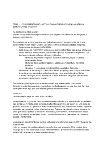 Sistemas-Politicos-Indigenas-11-17.pdf