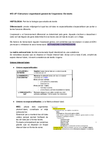 Resum-NF2 Els teixits.pdf