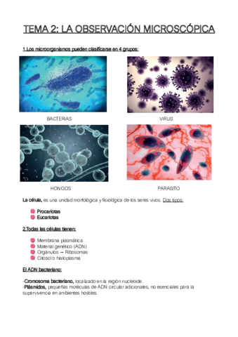 tema-2-la-observacion-microscopica.pdf