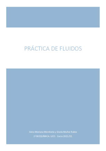 PRACTICA.pdf