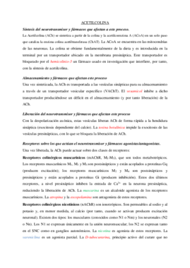 PRACTICAS (2).pdf