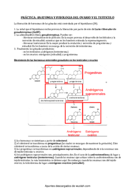 practicas.pdf