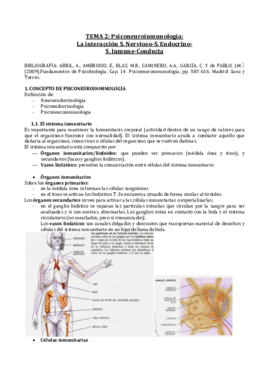tema 2.pdf