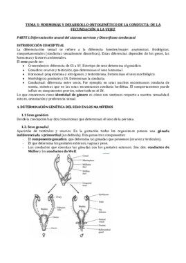 tema 3.pdf